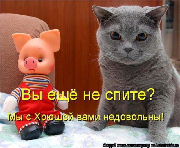 Мысли вслух :)