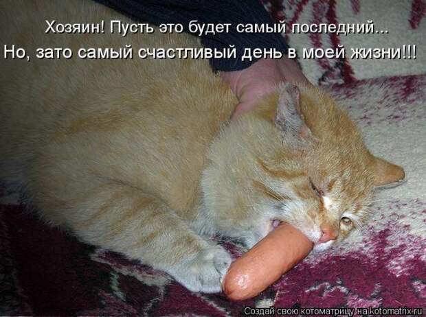 Мысли вслух :)