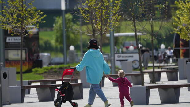 В Госдуму внесли законопроект о возврате 7% НДФЛ семьям с детьми