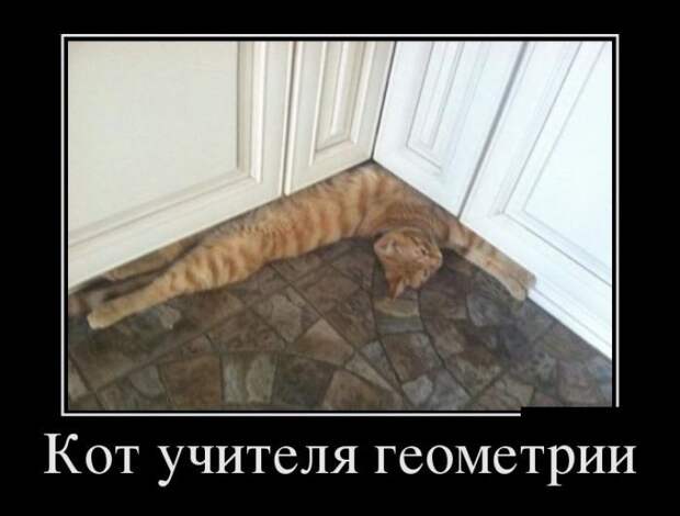 Демотиваторы демотиваторы, прикол, юмор