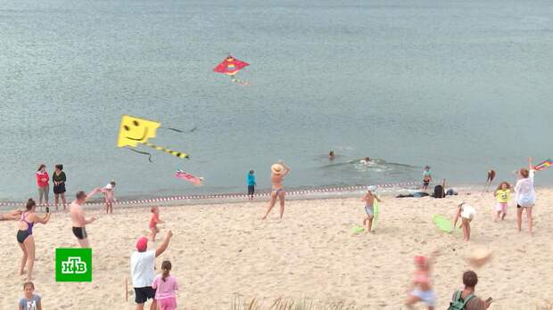 На Куршской косе прошел фестиваль воздушных змеев