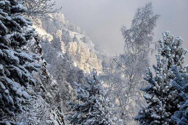 Отправленные на поиски Усольцевых дроны фиксировали светящиеся точки в тайге
