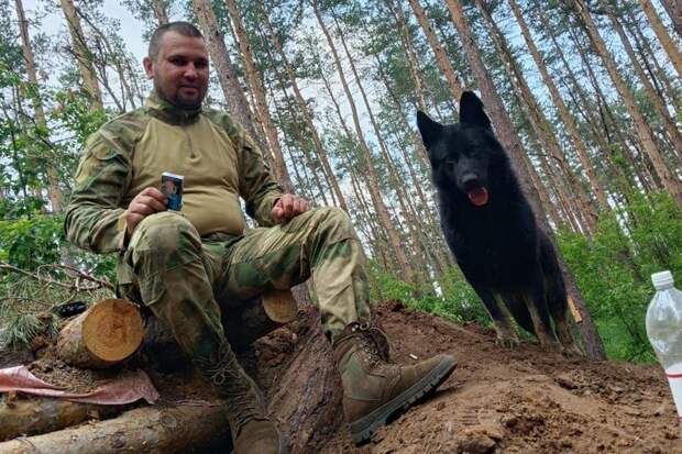 Пес ценой жизни спас шестерых бойцов СВО, а пони навещает больных в хосписе. Поразительные истории животных, исцеляющих людей и их души