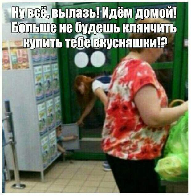 Ржачные до слез свежие картинки с надписями (вторник)