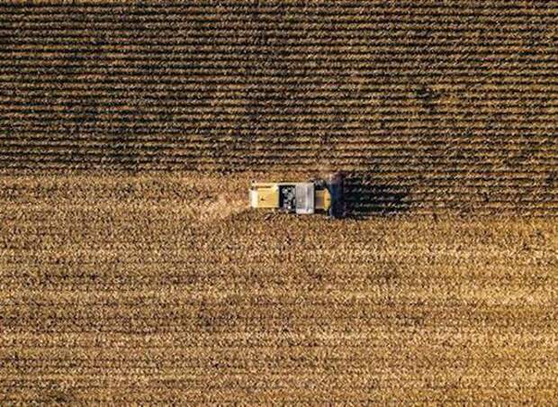 Эрдоган сообщил журналистам, что рассчитывает на возобновление зерновой сделки