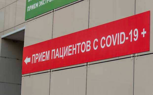 В Рязанской области за сутки выявили 23 новых случая коронавируса