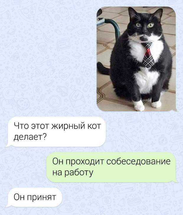 20+ коллег, которые профессионально подкололи друг друга