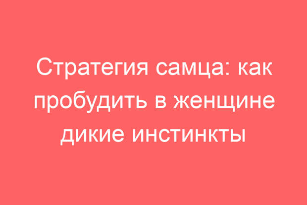 Стратегия самца: как пробудить в женщине дикие инстинкты