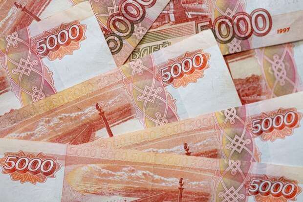 Новую специальную выплату  22 600 рублей переведут россиянам с 12 декабря