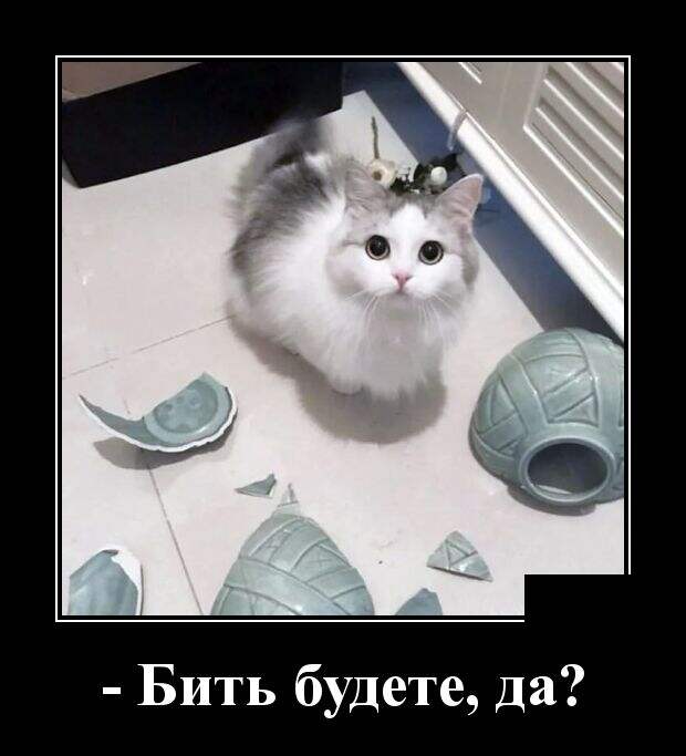Демотиваторы