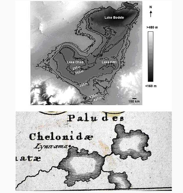 Береговые линии Мега-Чадского озера, распадавшегося на три водоема Chad, Bodele и Fitri около 4 тыс. лет назад (вверху) . Она удивительно соответствует изображению Хелонидских болот Христофом Вайгелем в 1720 году. Внизу показан фрагмент оригинала карты Вайгеля из коллекции автора.