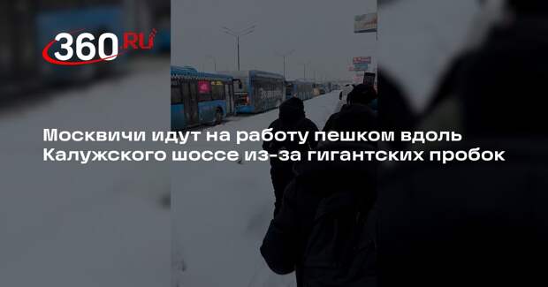 Москвичи идут на работу пешком вдоль Калужского шоссе из-за гигантских пробок