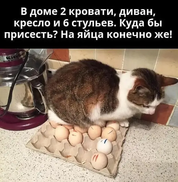 — Хочешь стать успешным? Просто подними жопу с дивана!...