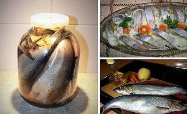 Вкуснейшая селедка в банке