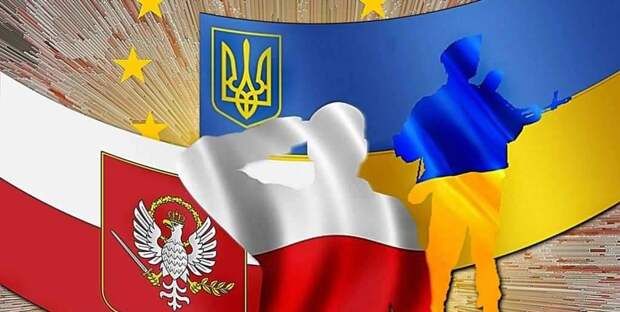 Украинцам предлагают пострадать ради выгод Польши Украинцам предлагают пострадать ради выгод Польши