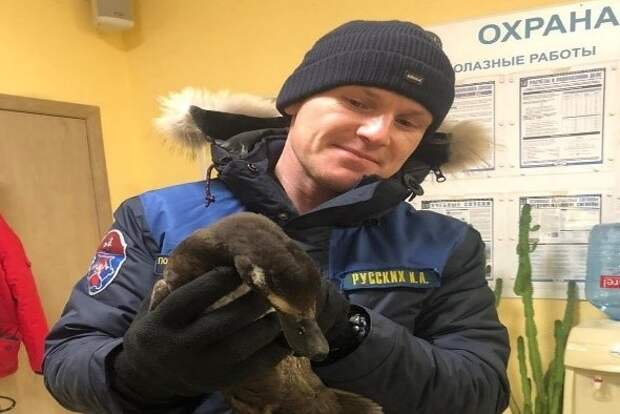 В январе на водных объектах Москвы спасено шесть человек В январе на водных объектах Москвы спасено шесть человек