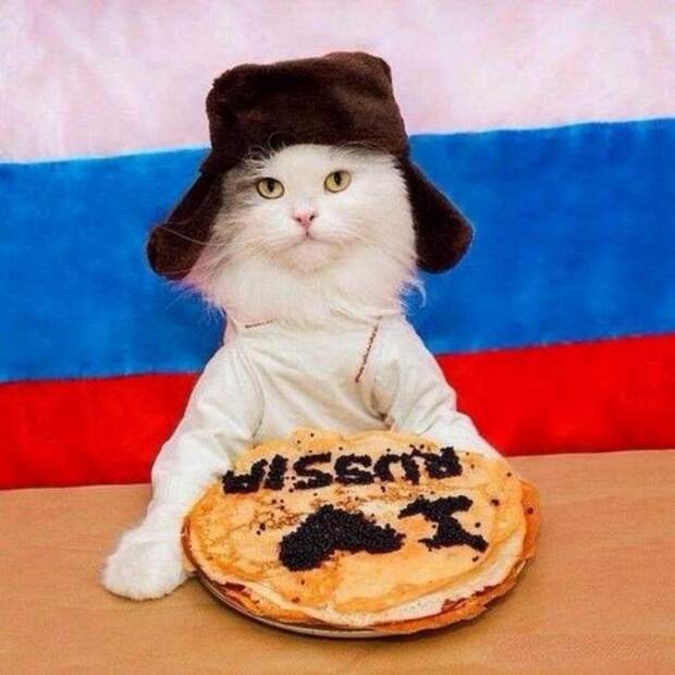 Свежие и веселые картинки для хорошего настроения (12 фото) Свежие и веселые картинки для хорошего настроения (12 фото)