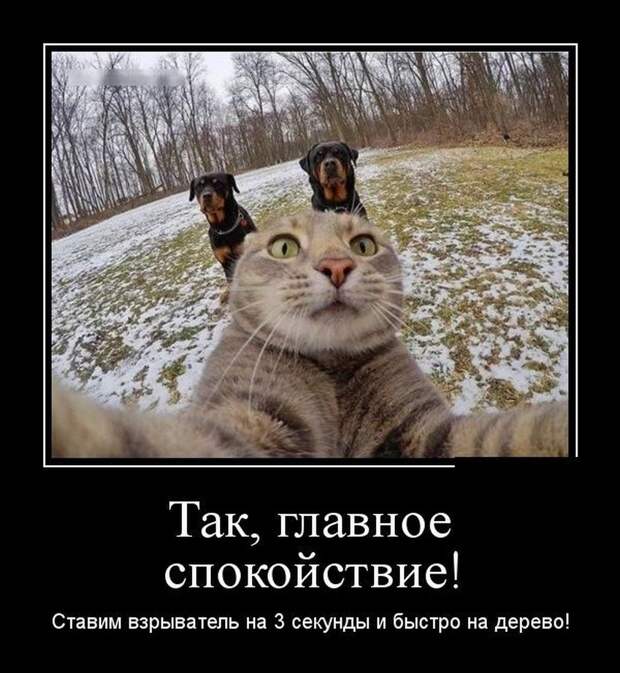 30 демотиваторов в среду