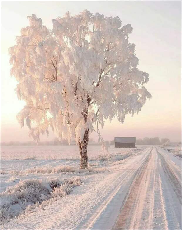 фотоприколы