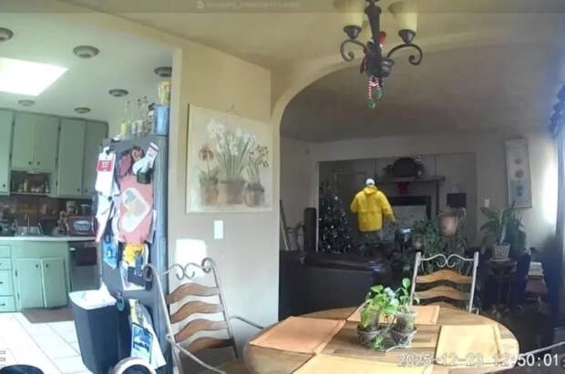 NYP: в США мальчик предотвратил ограбление, как в фильме «Один дома»