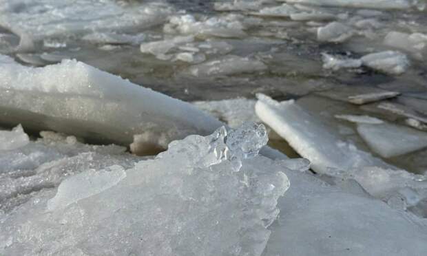 На реке Пинеге голова ледохода снова остановилась в заторе