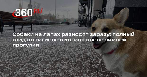 Профессор Гламаздин: совместный с питомцем сон несет риски заражения