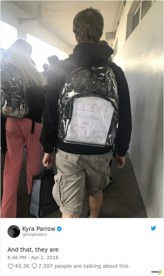 Реакция детей на прозрачные рюкзаки