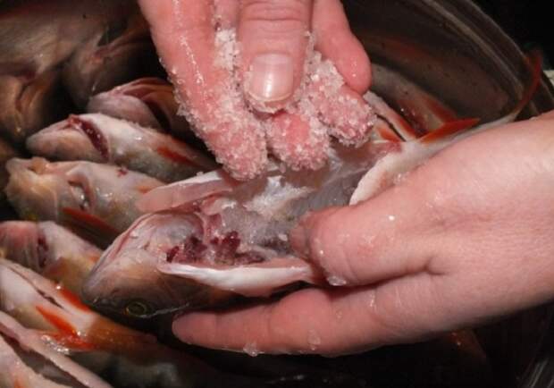 Простейший способ почистить рыбу - при помощи соли
