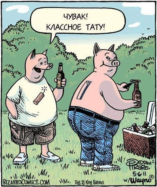 Животный юмор животные в юморе ., карикатуры, рисунки, юмор