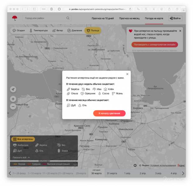 Яндекс.Погода теперь отображает концентрации аллергенов в воздухе