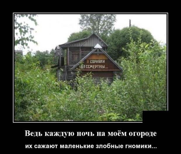 Демотиватор про сорняки