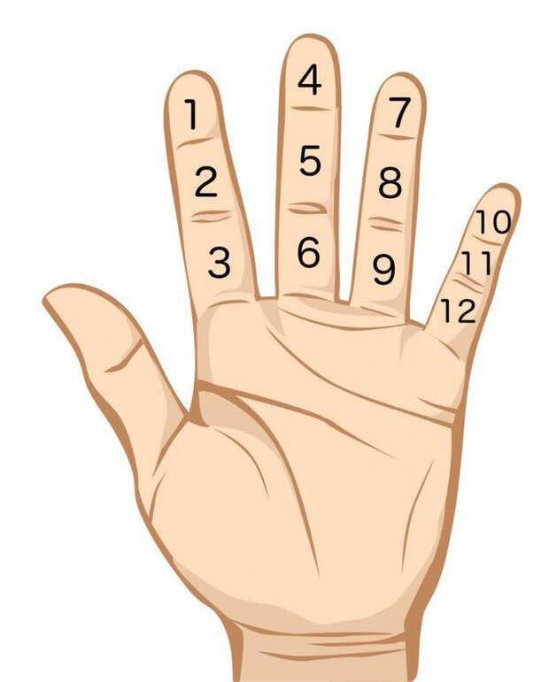 Количество суставов пальцев на каждой руке (исключая большой палец) позволяет считать до 12 с помощью большого пальца.