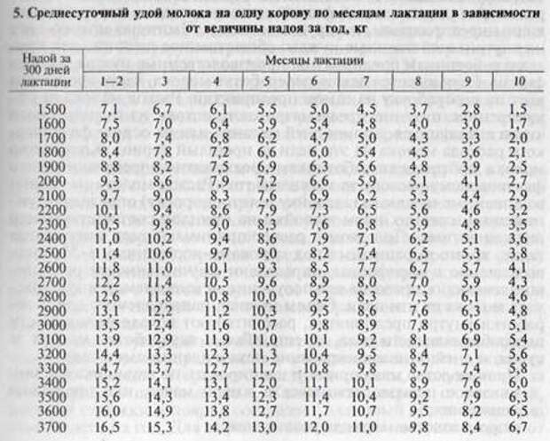 Из половинного приплода Из половинного приплода