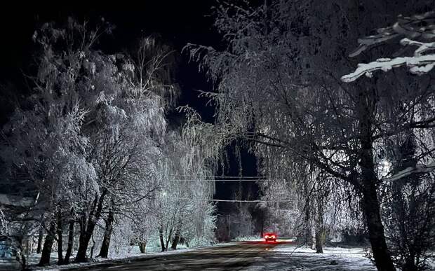 В Рязанской области 25 февраля пойдет снег в 8 районах и потеплеет до +1°С
