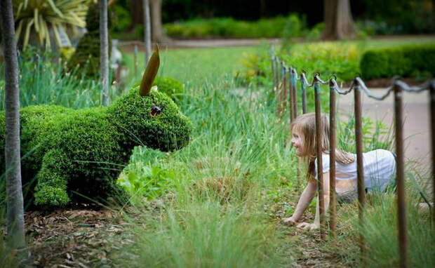 atlanta-botanical-garden-4 (700x432, 130Kb)