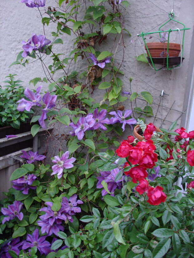 flowers-on-balcony-details6.jpg