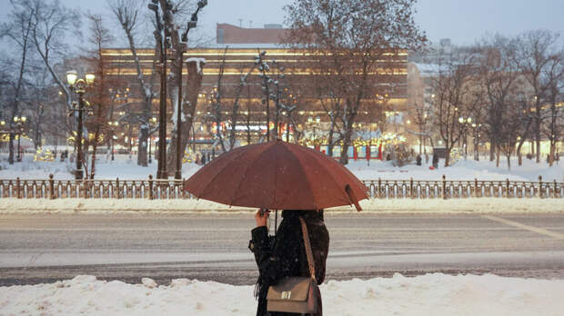 Синоптик Цыганков: в Москве в ближайшие дни будет аномальное потепление