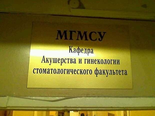 В организме всё связано Российские, вывески, нелепые, смешно, фото