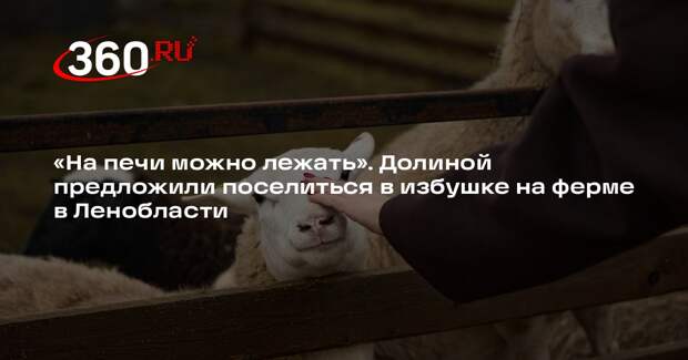 Ферма в Ленобласти предложила Долиной бесплатно заселиться в избу