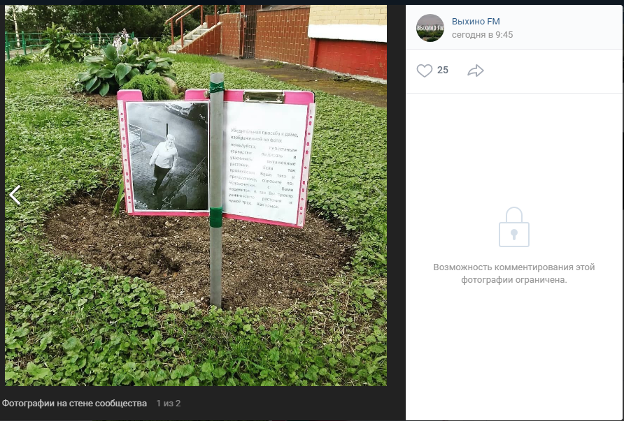 Фото дня: необычный способ борьбы с похитителями цветов