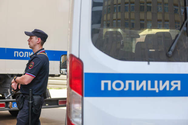 Банда контрабандистов заработала миллиард рублей на краже российского леса