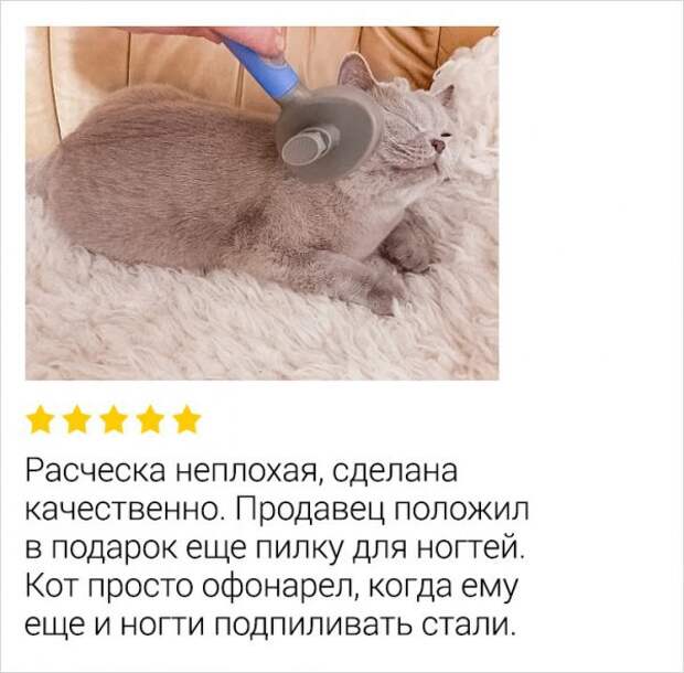 Подборка смешных отзывов Подборка смешных отзывов