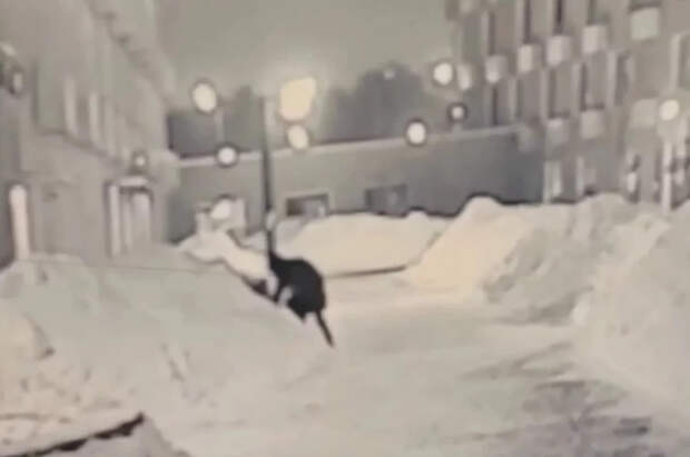 Участник покушения на генерала Алексеева задолжал свыше 830 тыс. рублей