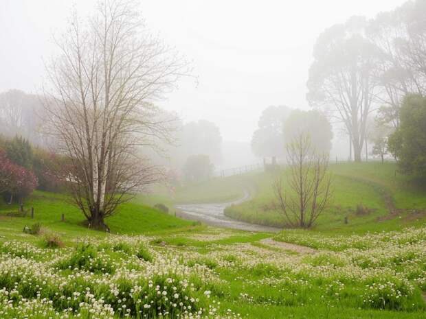 Строгие запреты и обязательные дела дня Вадима Ключника 22 апреля 2026 года