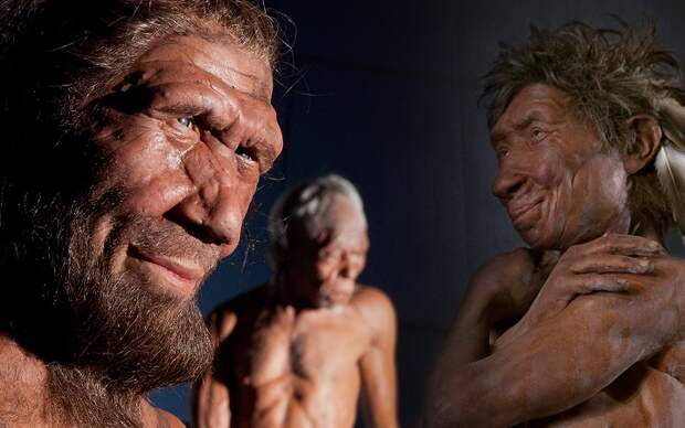 Ученые сравнили группы крови неандертальцев и денисовцев