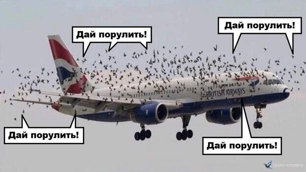 Картинка 4.  Статья "Юмор про военные самолёты: 12 анекдотов и 7 смешных картинок".
