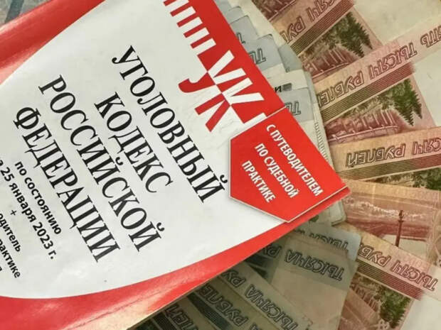 Предпринимательница пыталась подкупить полицейских