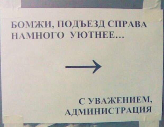 Смешные объявления из подъездов (16 фото)