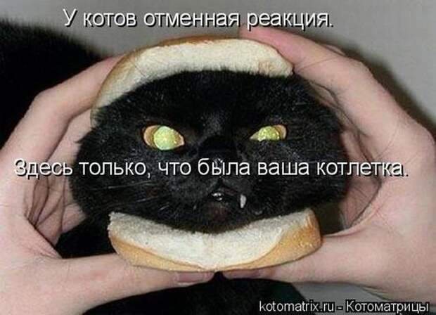Мысли вслух :)