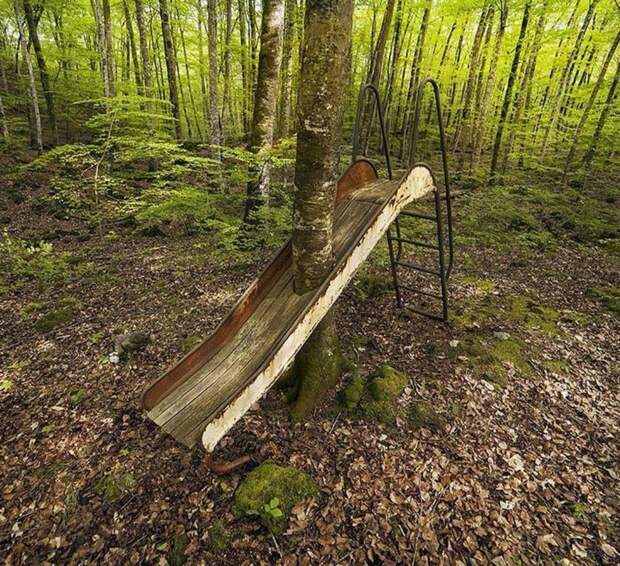 kartinok-veselyh-interesnyh-kartinki-smeshnye-kartinki-fotoprikoly
